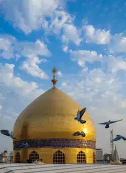 عکس از پرواز کبوترها بر فراز گنبد حرم امام علی