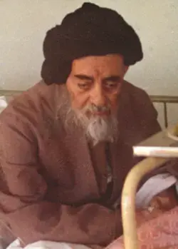  عکس علامه طباطبایی پیش از وفات در بیمارستان