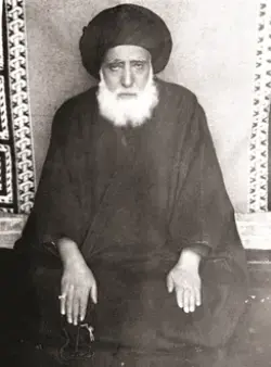 عکس با کیفیت از آیت الله سید جمال الدین گلپایگانی